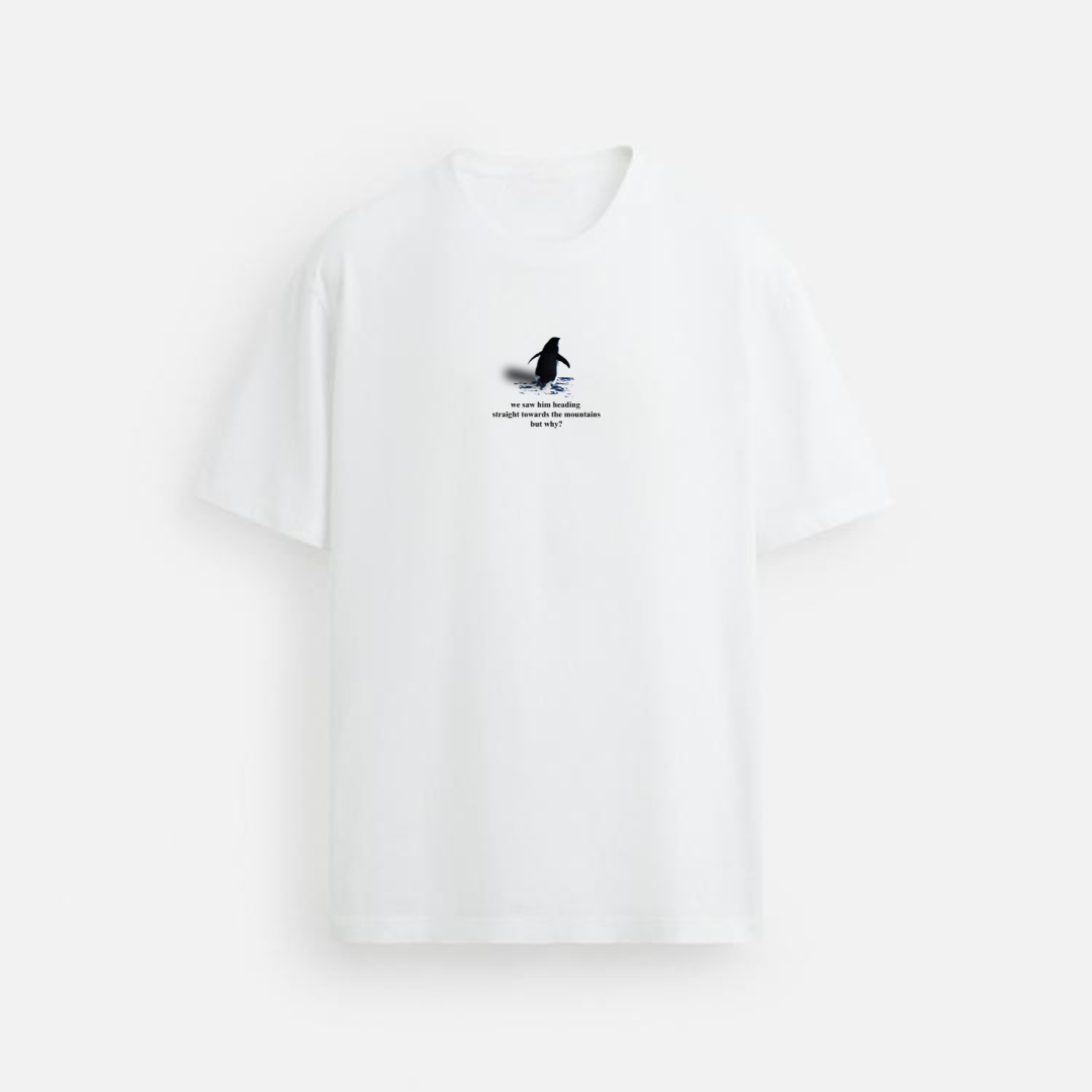 Glacier Oversized Tshirt