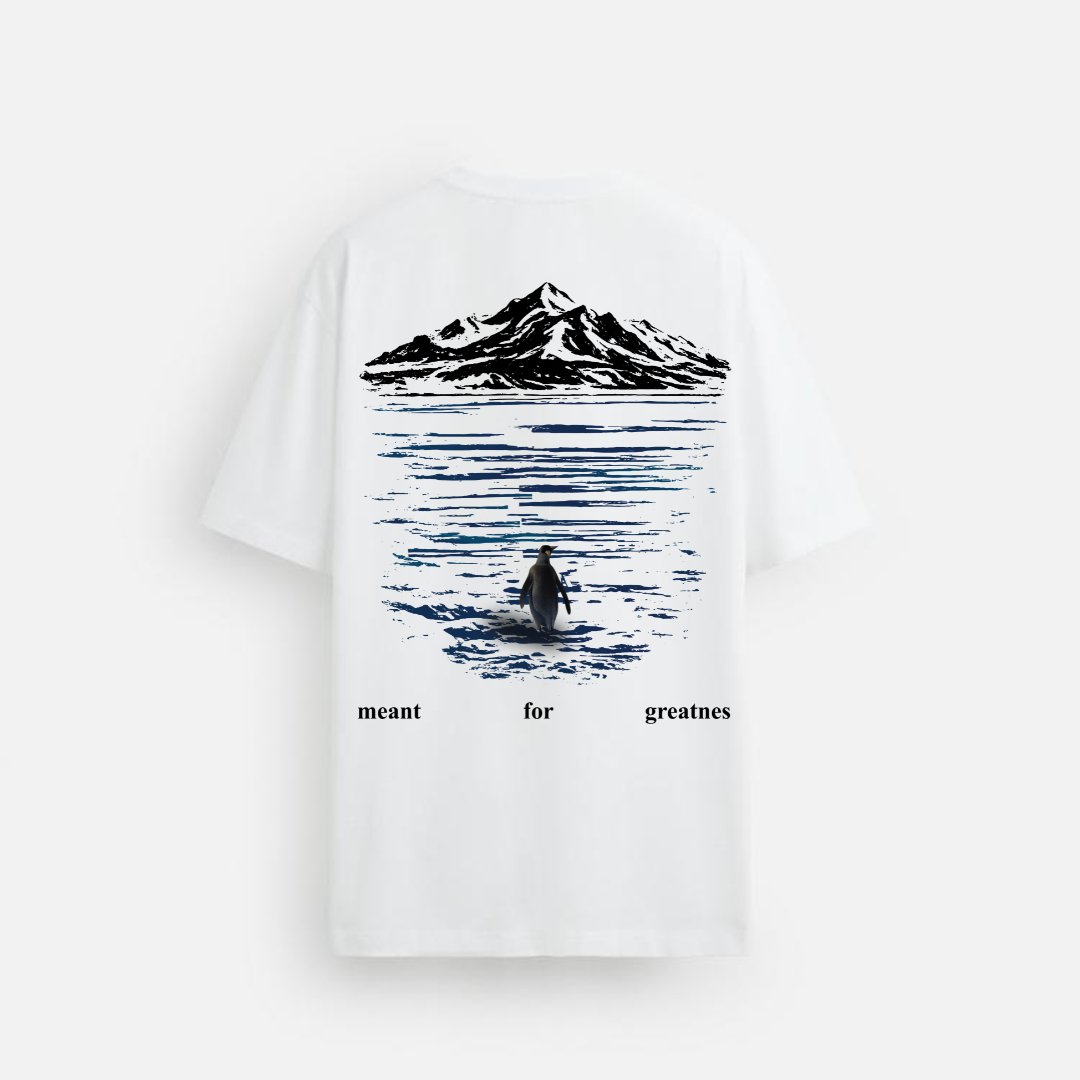 Glacier Oversized Tshirt